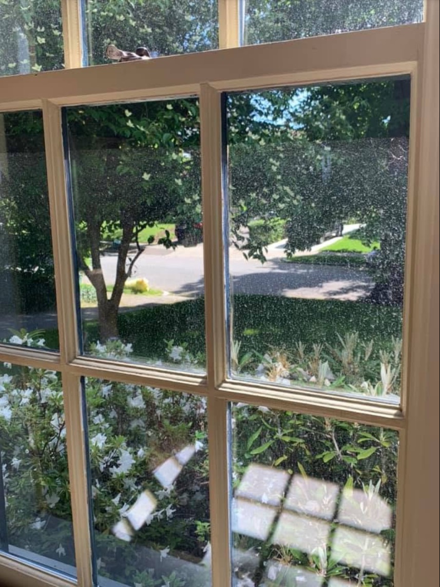 Window glass before cleaning, spotted and hazy